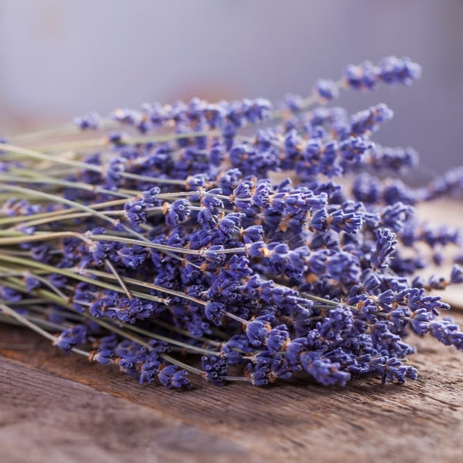 Henna cones - Lavendel