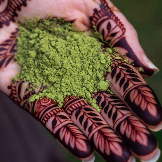 Rajasthan henna poeder